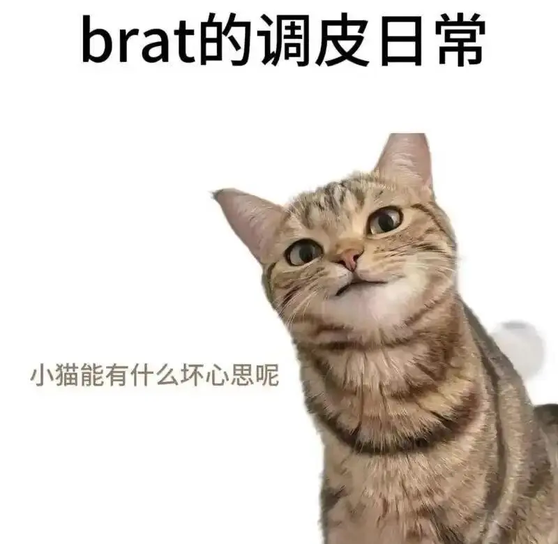 【西檬之家】字母圈的Brat属性是什么意思？