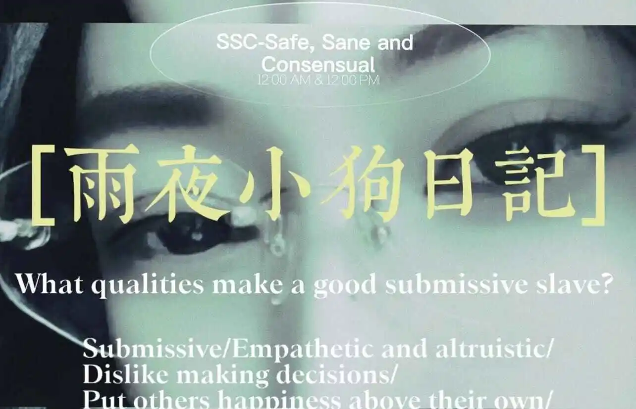 【西檬之家】BDSM入圈指南：从新人到进阶者的完整路径
