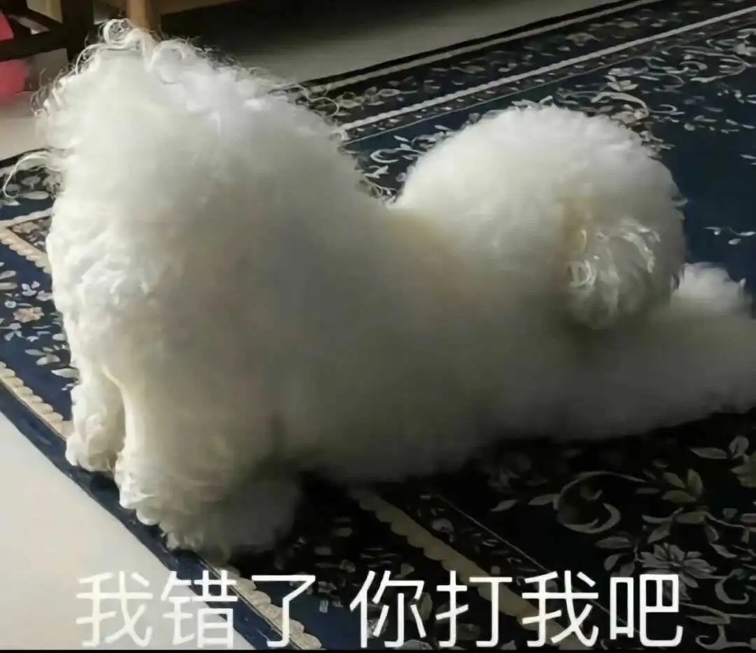 西檬之家-Sub是什么？你的字母圈属性是什么？