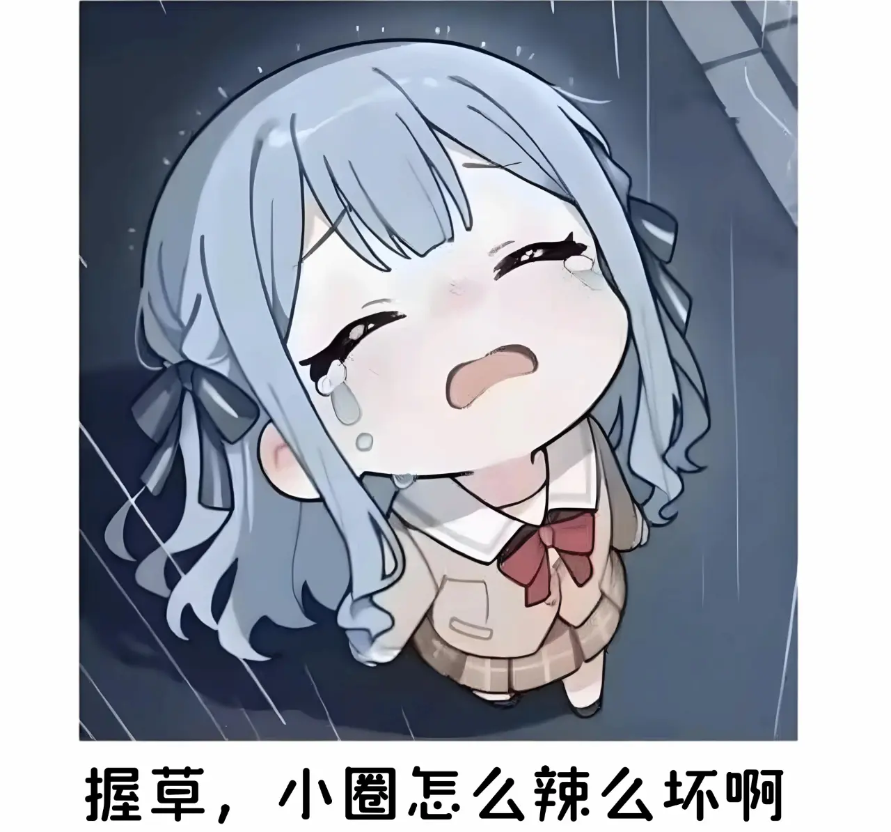【西檬之家】Sub是什么？字母圈新人入圈指南