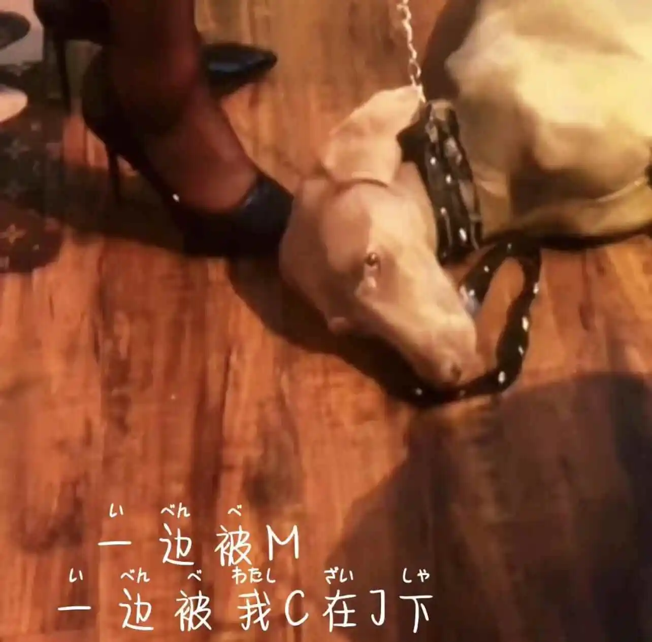 西檬之家-DS关系是什么？BDSM核心实践指南