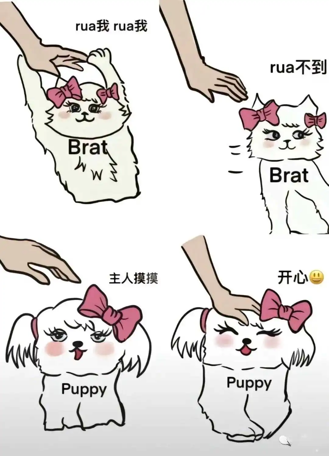 西檬之家-【Sp实践指南】字母圈新人如何开始你的BDSM之旅