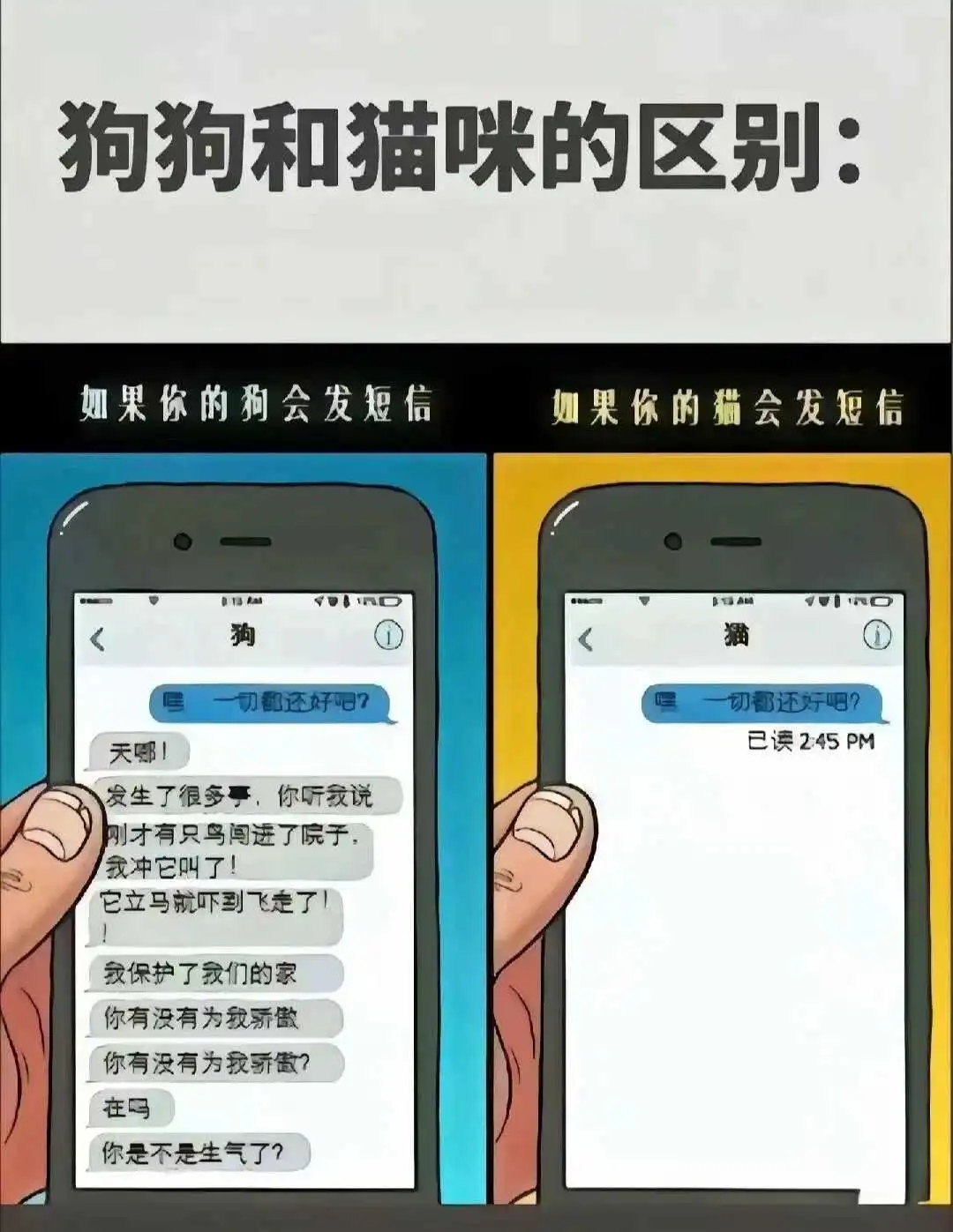 西檬之家-恋足癖是什么？字母圈视角下的BDSM探索指南