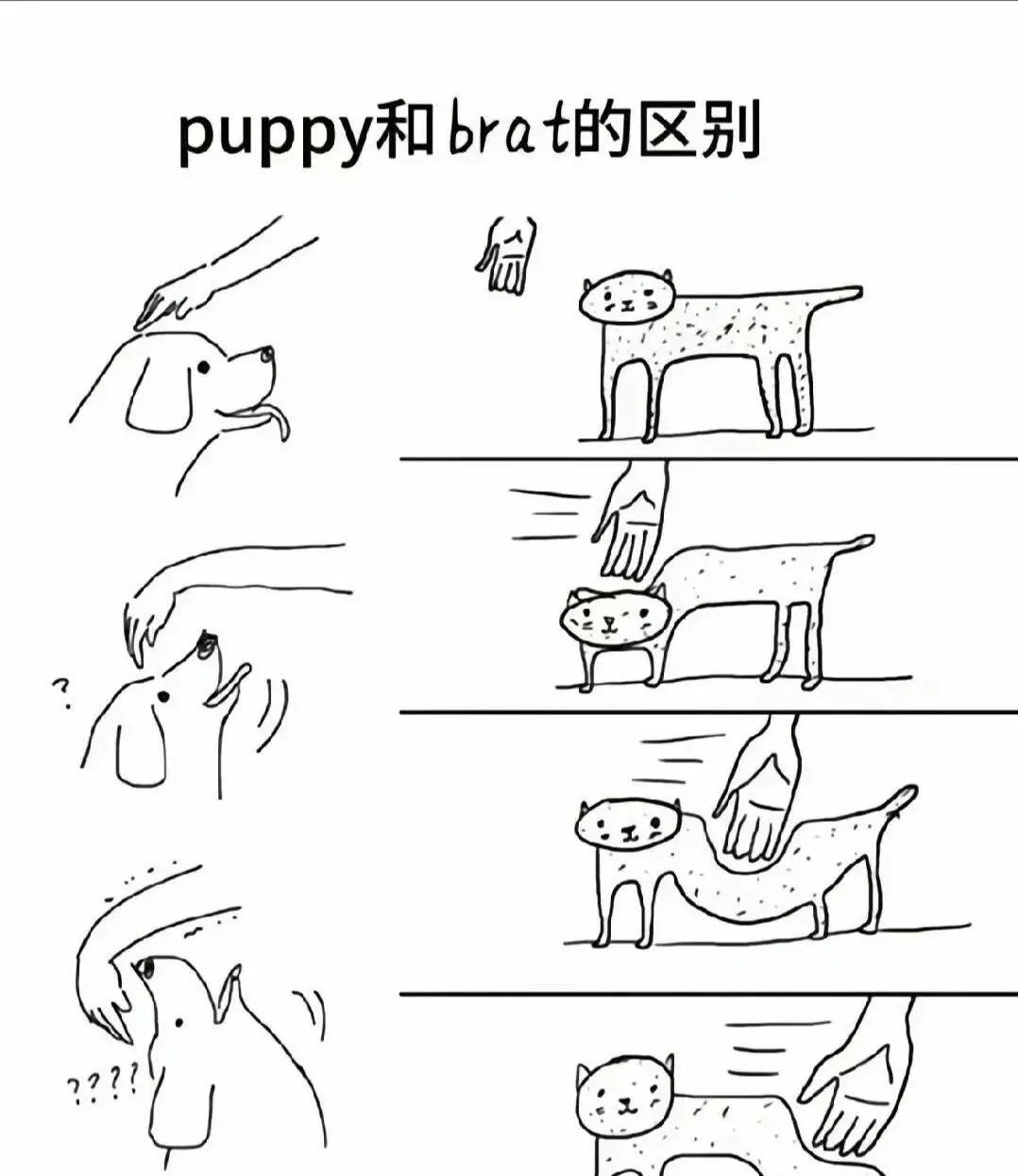 西檬之家-恋足癖是什么？字母圈新人入圈指南