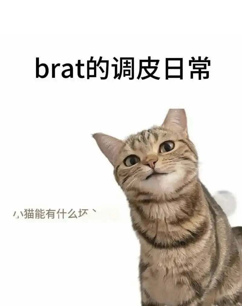 【西檬之家】字母圈新人入圈指南：BDSM的基础认知与安全边界