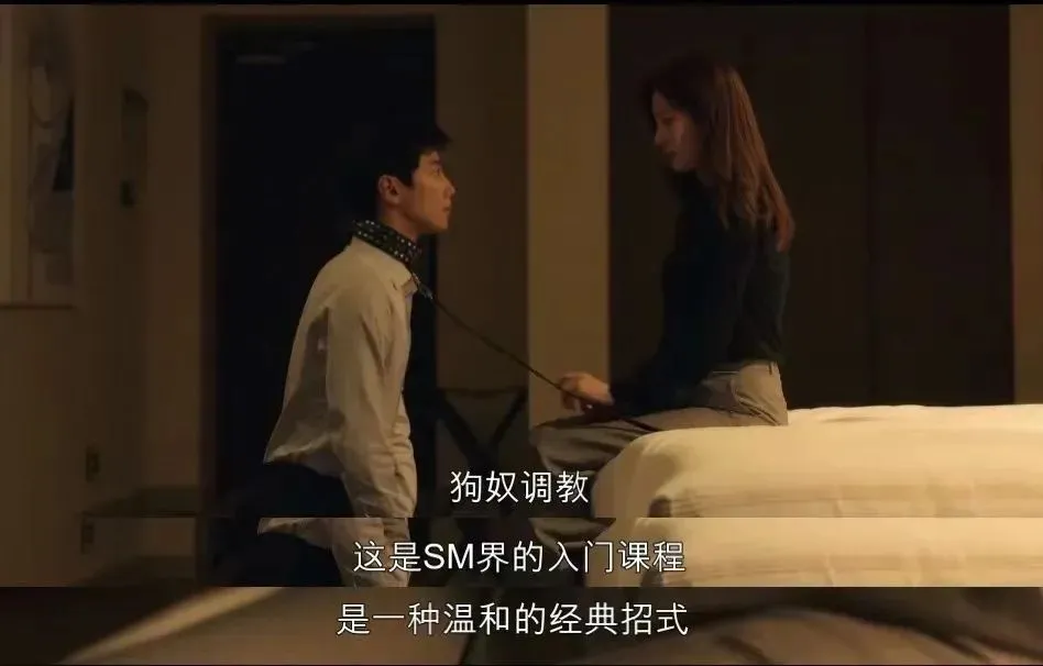 【西檬之家】字母圈新人必读：BDSM基础与安全指南