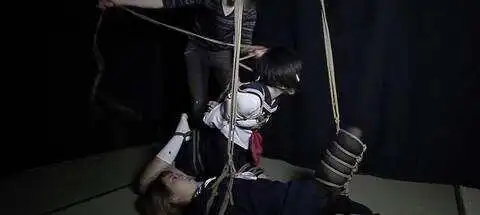西檬之家-BDSM字母圈新人入圈指南：从术语到实践