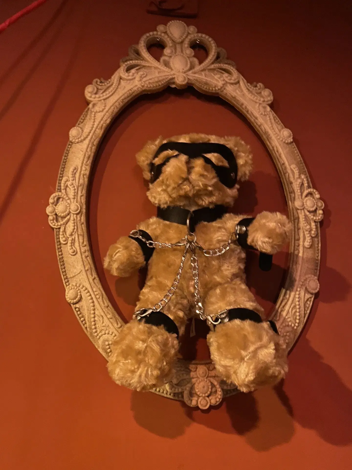 【西檬之家】BDSM字母圈新人入圈指南